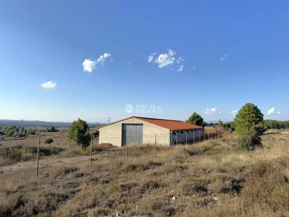 Industrial buildings for rent in Barracas