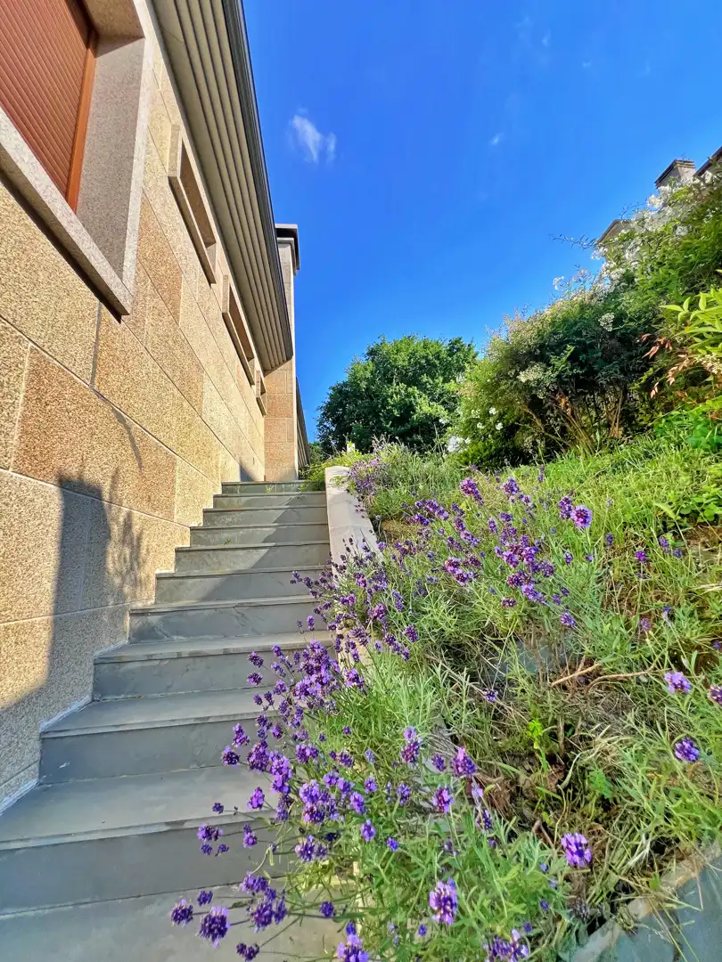 Jardín de Casa o chalet en venta en Lugo con Aire acondicionado, Calefacción y Jardín privado