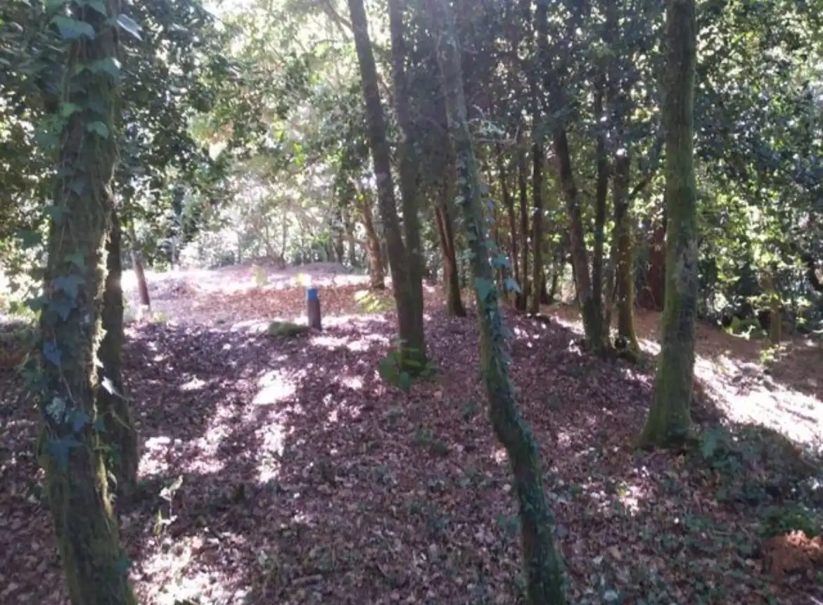 Terreno residenziale in vendita a N/A, imagen 6