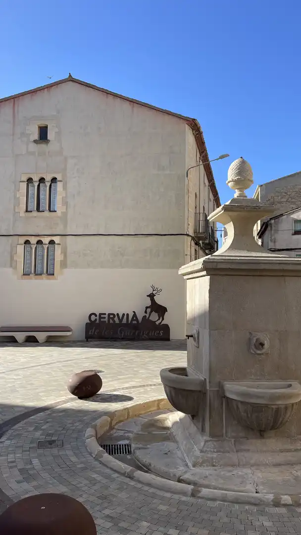 Exterior view of Houses for sale in Cervià de Les Garrigues  with Private garden, Terrace and Furnished