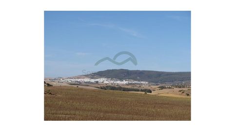 Cortijo Ecuestre, 100 h, Casa, Casita, Cortijo, imatge 3