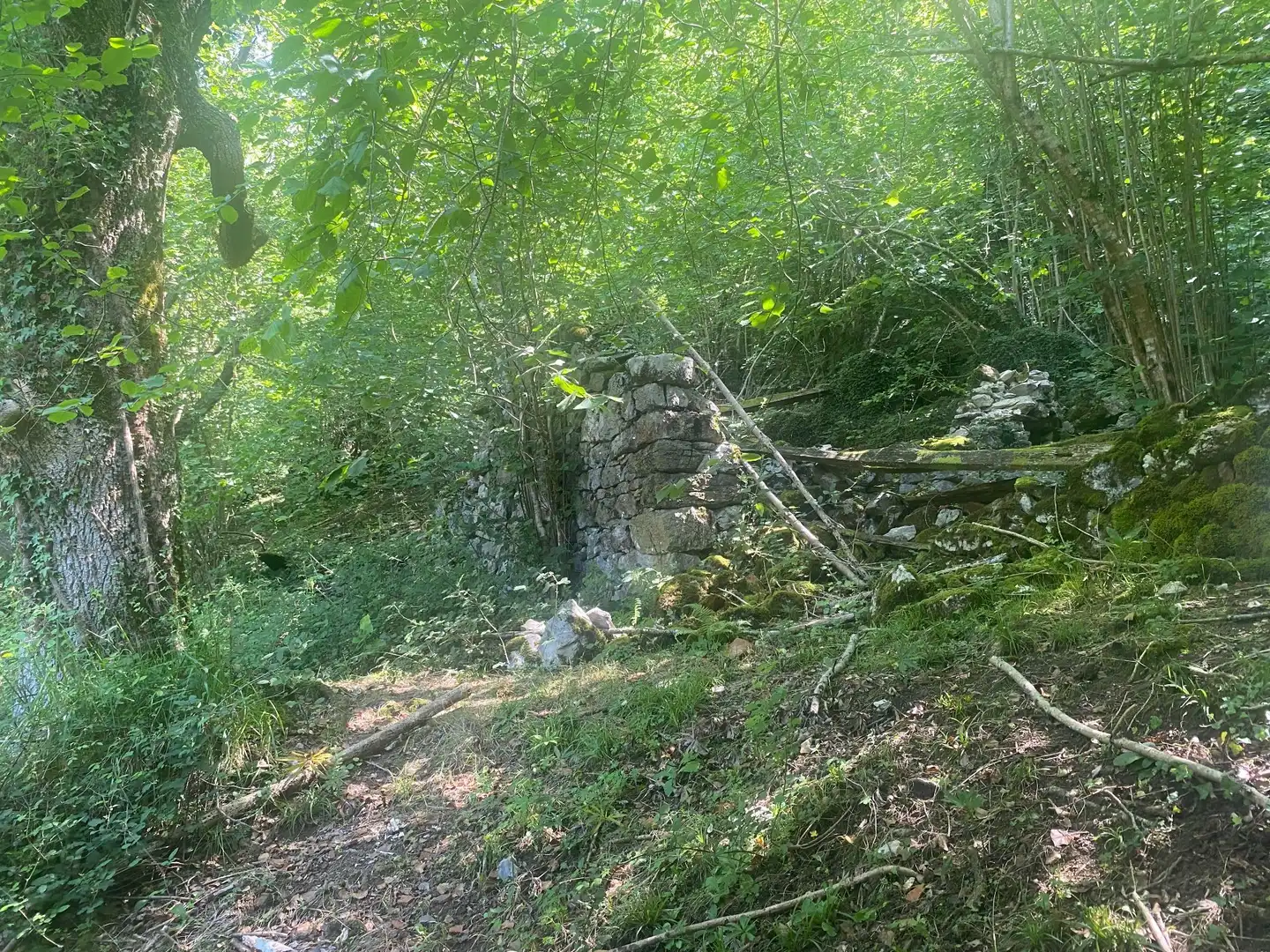 Terreno rustico in vendita a SEGÜENCO, imagen 15