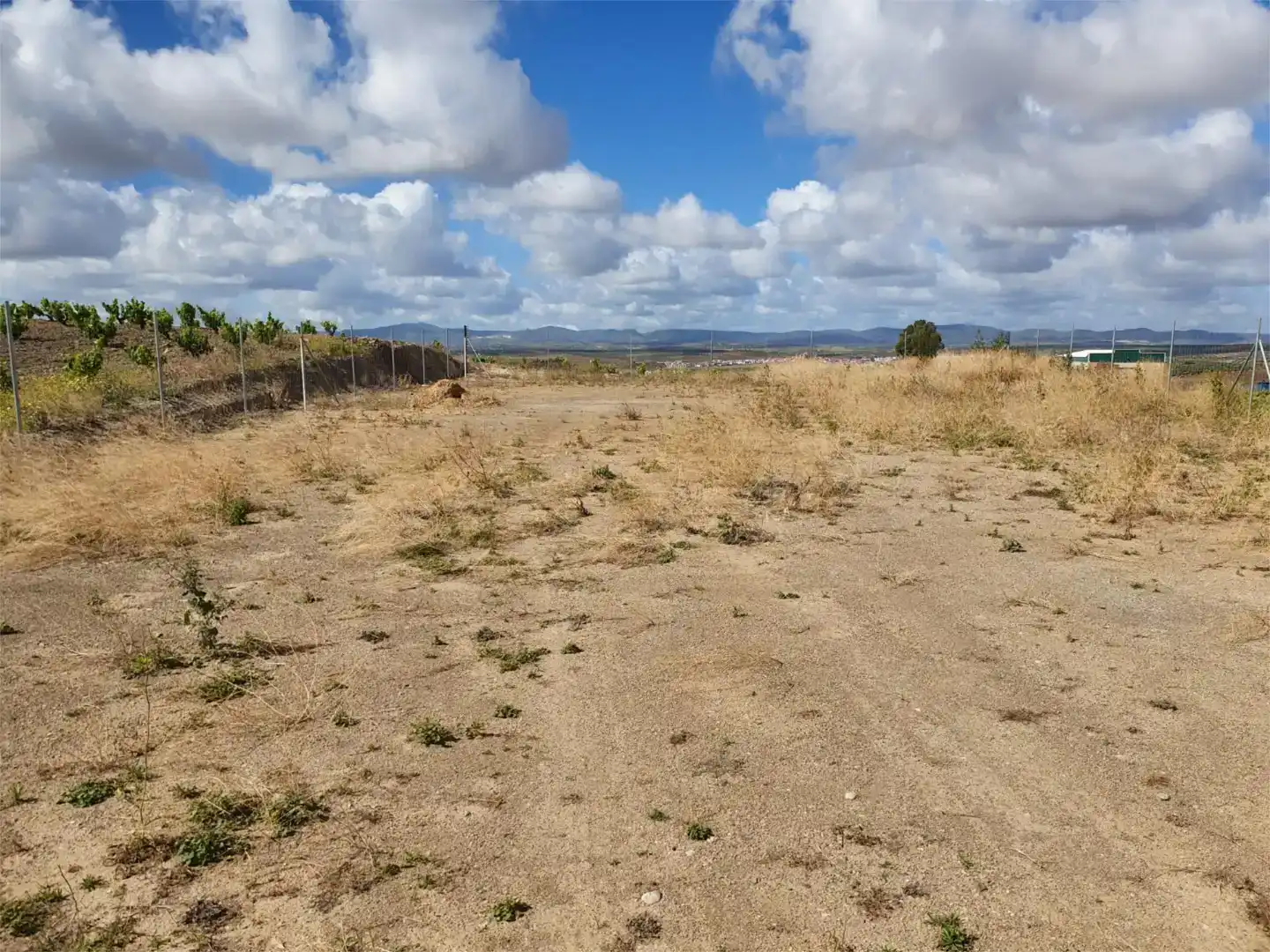 Finca rústica en venta en Aceuchal