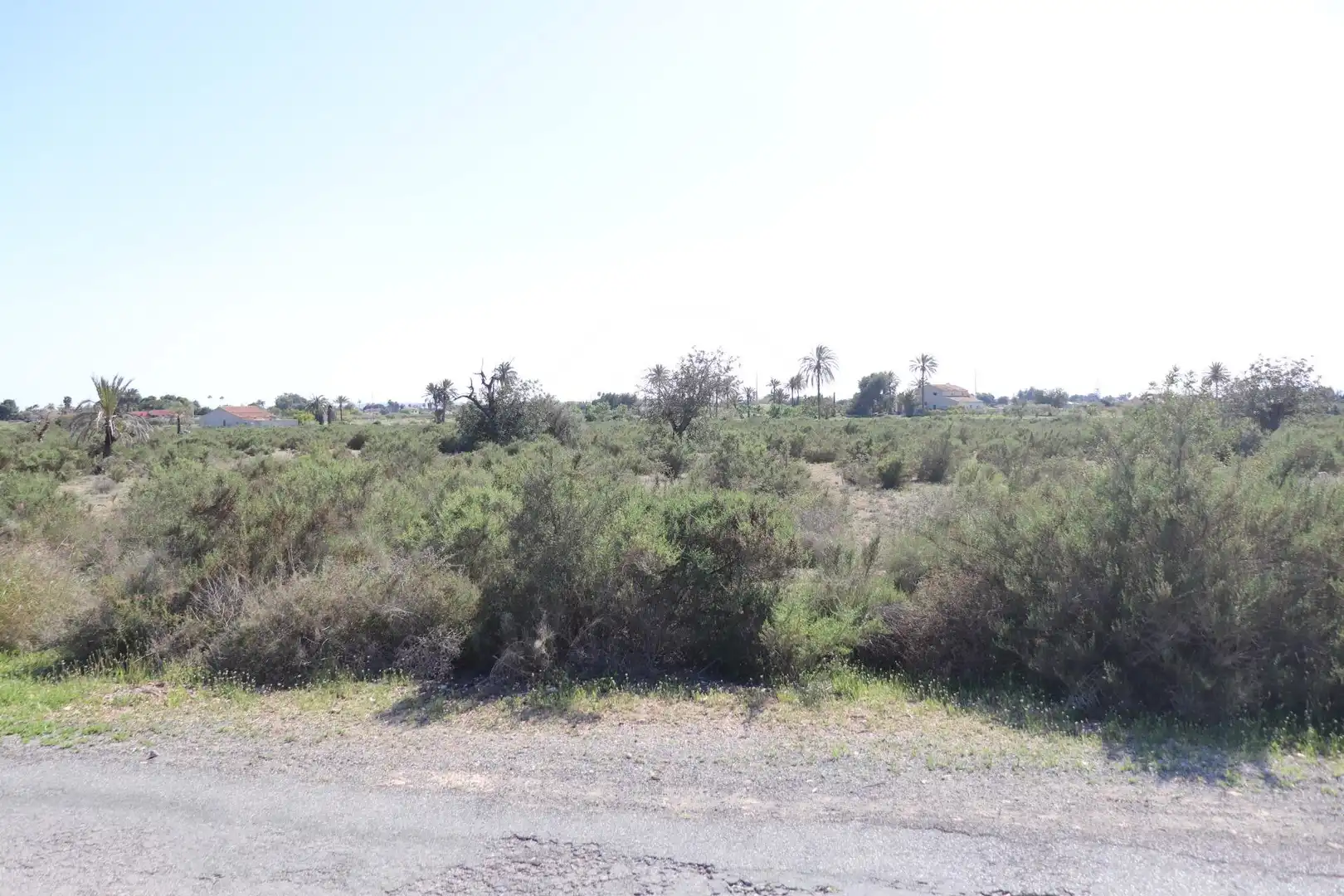 Grundstücke zum Verkauf in Elche / Elx