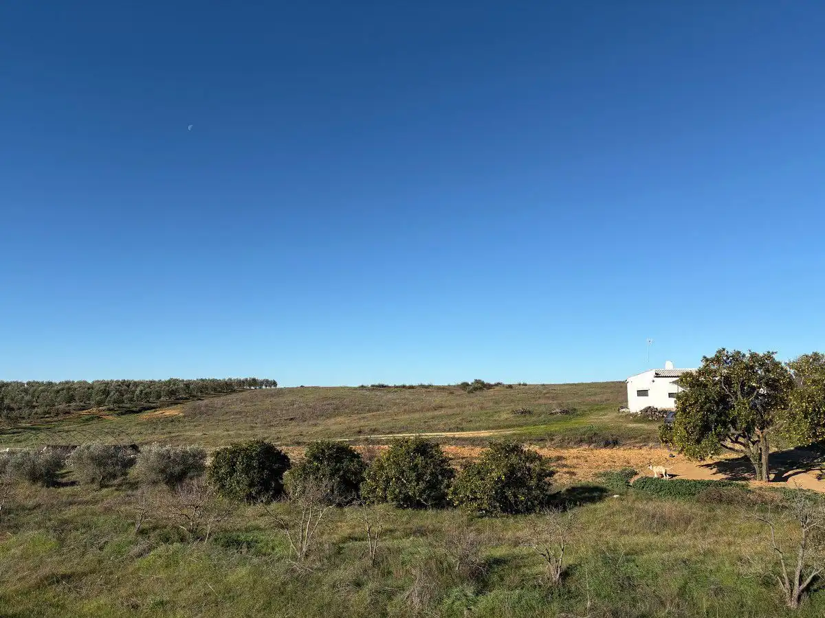 Casa rústica en venda a Almonte ciudad, imagen 13