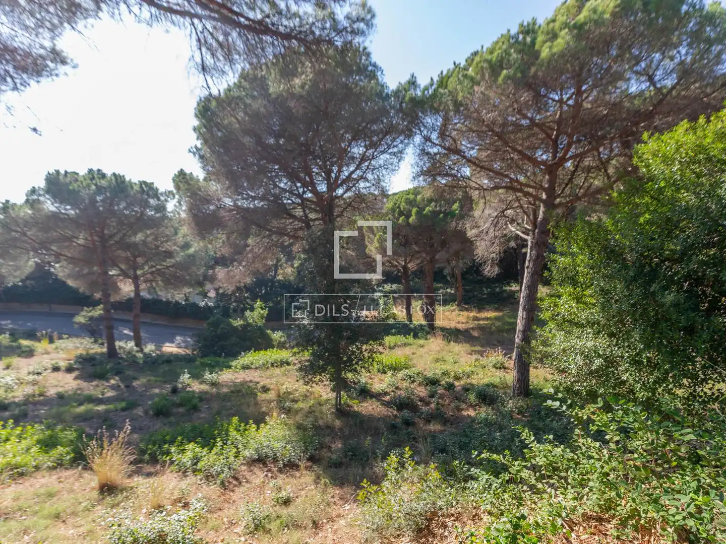 Terreny rústic en venda a Montgoda, imagen 5