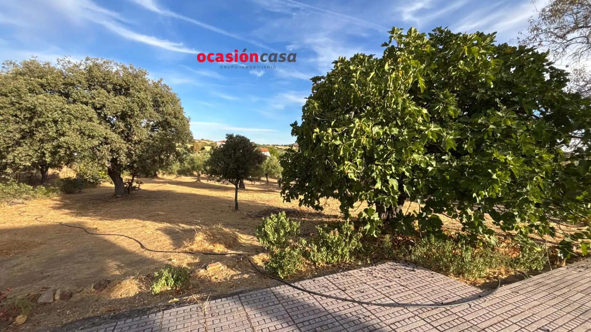 Terreny residencial en venda a Belmez, imagen 18