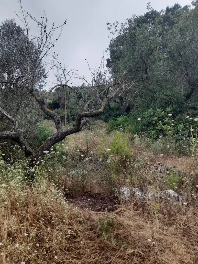 Rustikales Grundstück zum Verkauf in El Castell de Guadalest, imagen 12