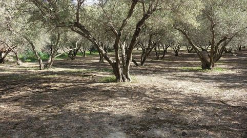 Finca Rúst. en venta en Polígonos., immagine 4
