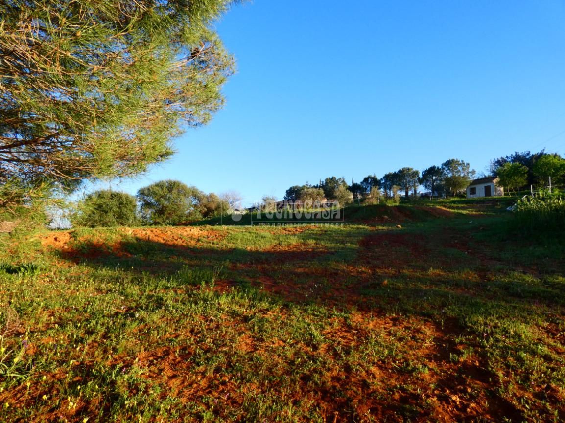 Finca rústica en venda en Carmona amb Piscina
