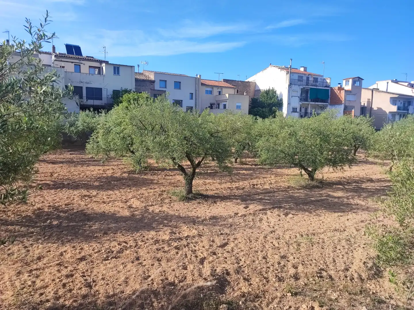 Casa con jardín en venta en Carrer de França, imagen 8