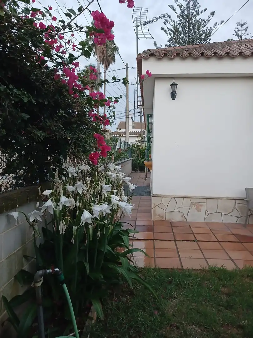 Vista exterior de Casa o chalet en venta en El Puerto de Santa María con Calefacción, Jardín privado y Amueblado