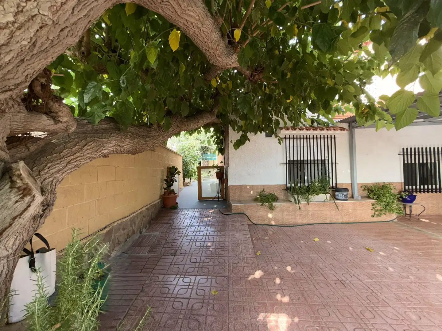 House with garden for sale in mediases, imagen 19