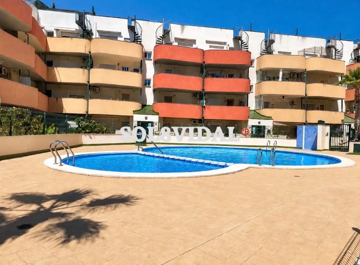 Piscina de Ático de alquiler en Almoradí con Aire acondicionado, Calefacción y Terraza
