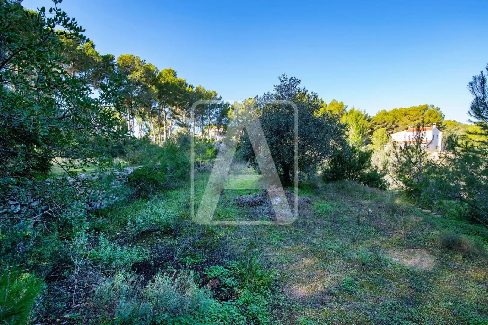 Villa avec piscine à vendre à Cala Advocat - Baladrar, imagen 13