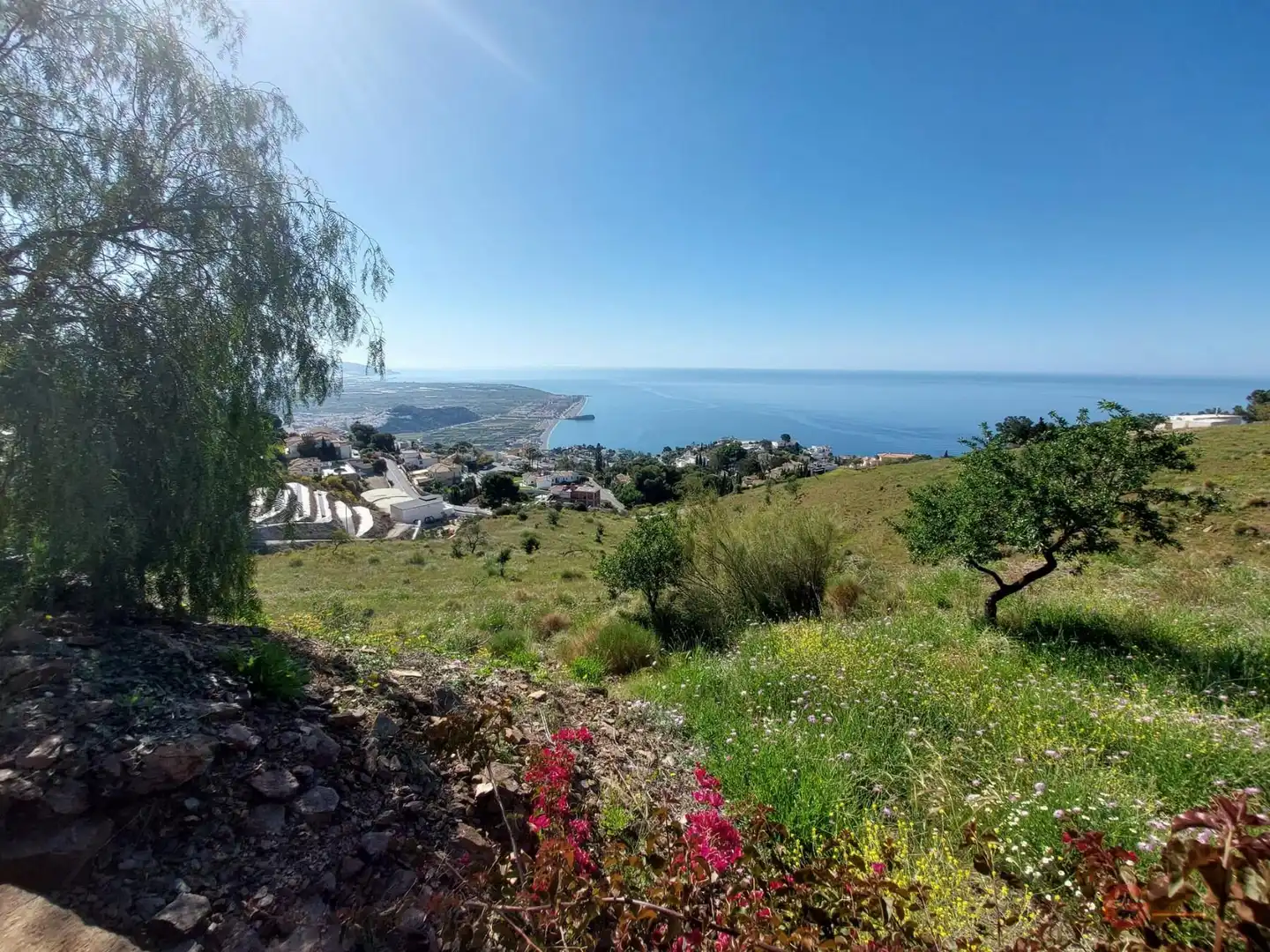 Finca rústica en venta en Monte los Almendros - El Pargo - Costa Aguilera