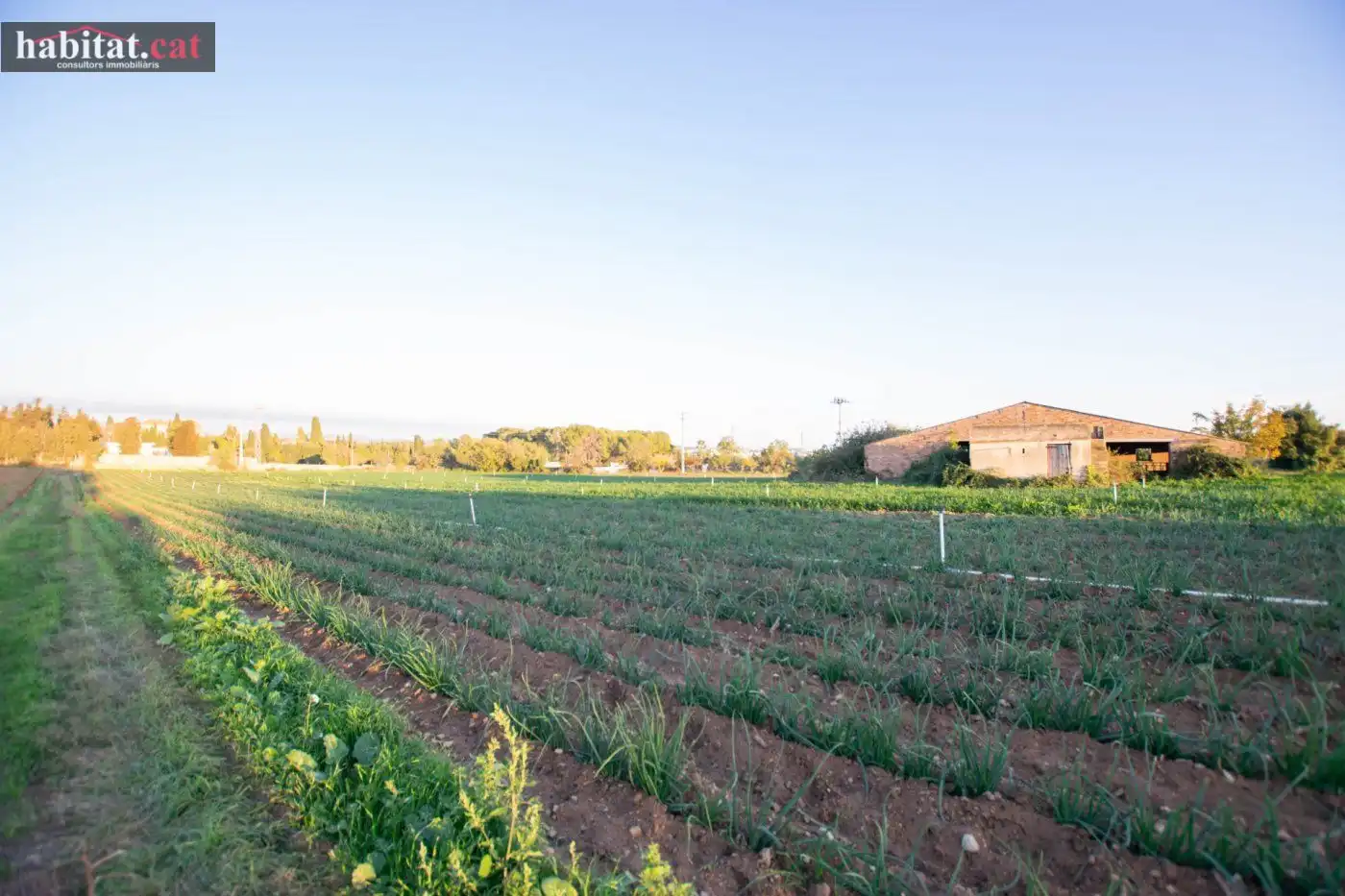 Finca rústica en venta en Vilanova i la Geltrú con Jardín privado y Terraza