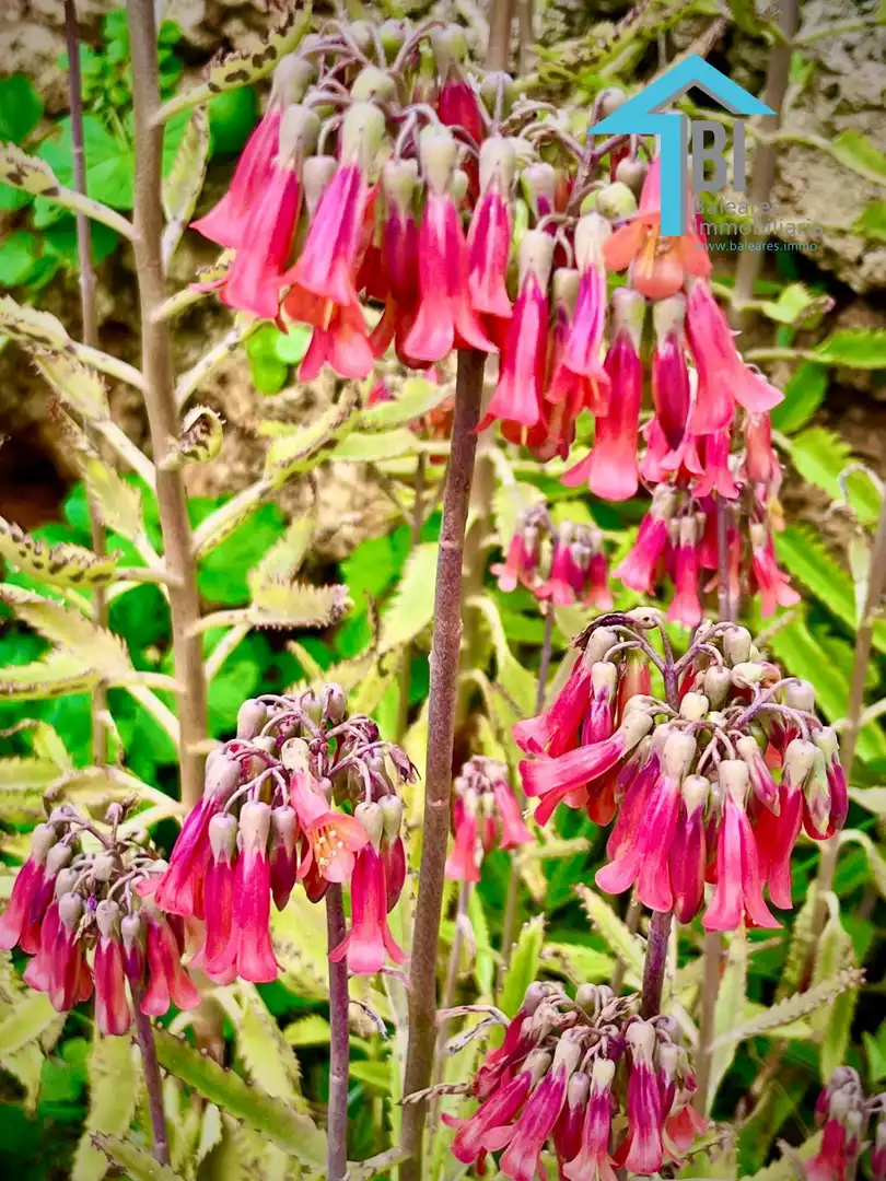 Finca rústica de alquiler en Zona Rústica - Interior
