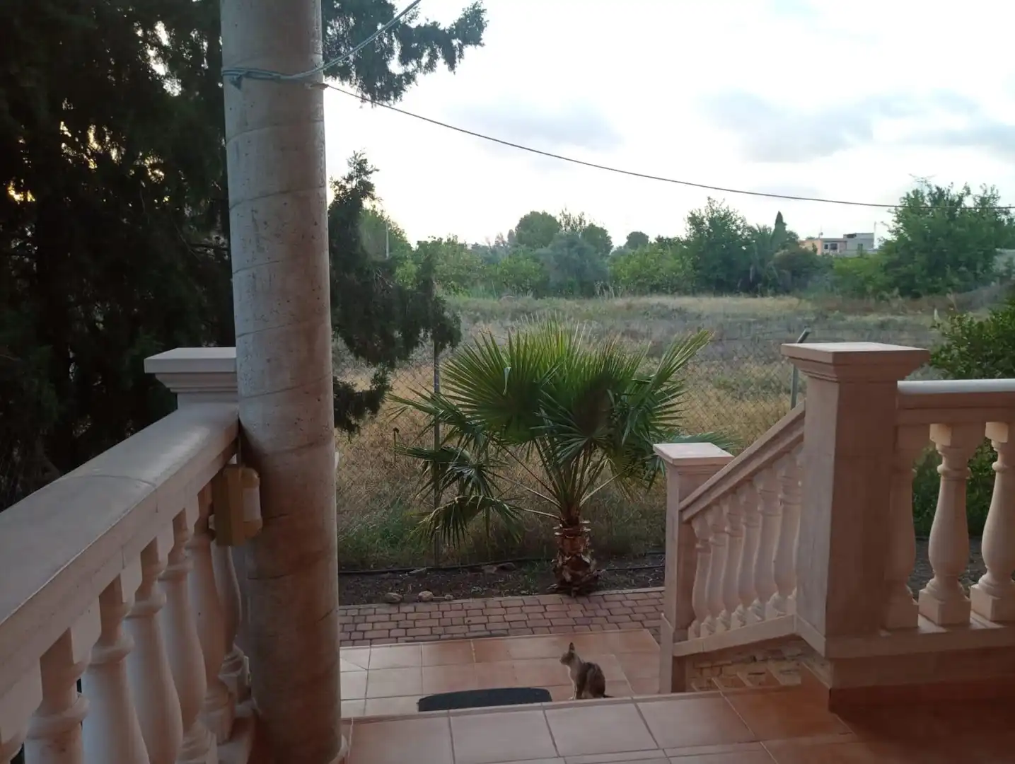 Garden of Houses for sale in Murcia  with Private garden and Terrace