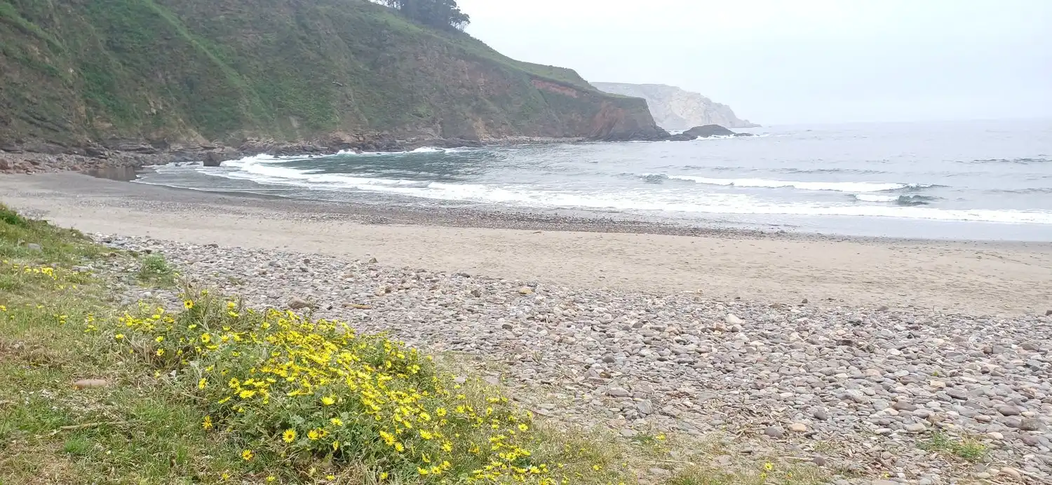 Exterior view of Houses for sale in Castrillón  with Terrace, Storage room and Swimming Pool
