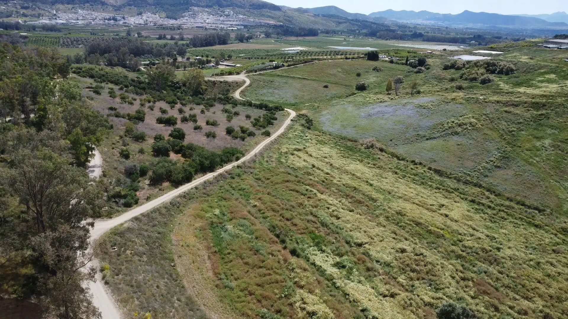 Terreni e lotti in vendita a Carretera Pista Confederación, Pizarra, Spain, imagen 24