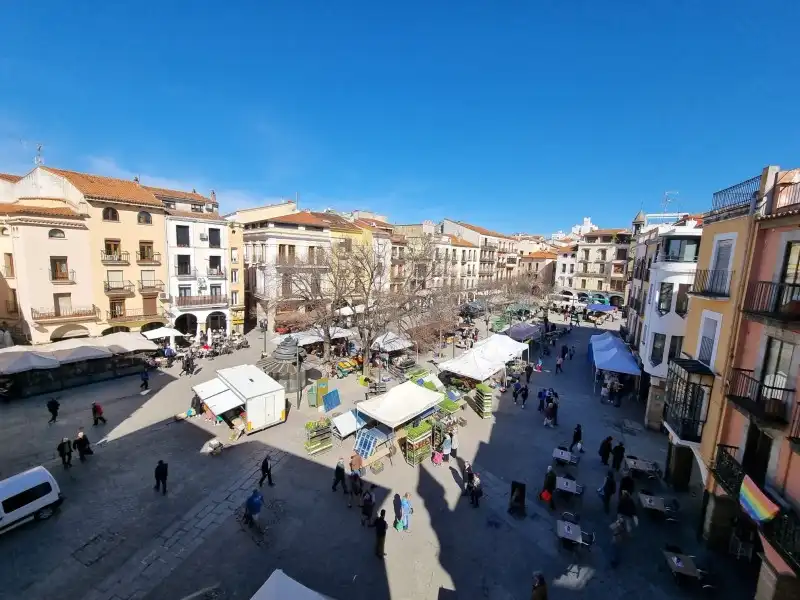 Vista exterior de Pis en venda en Plasencia amb Aire condicionat, Calefacció i Jardí privat