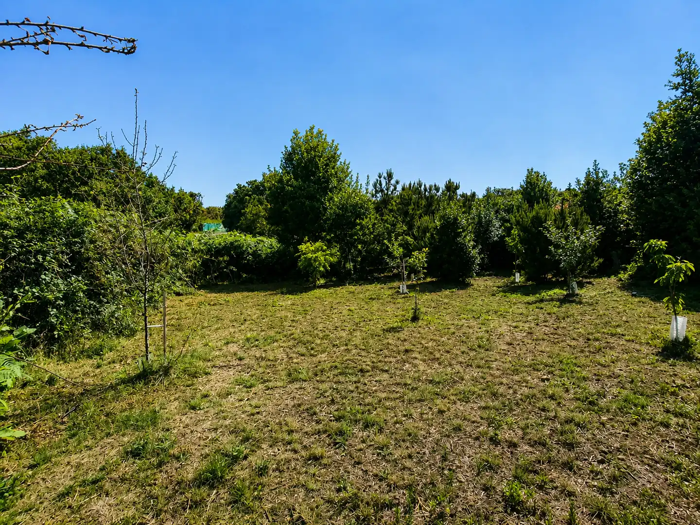 Land for sale in El Tanque
