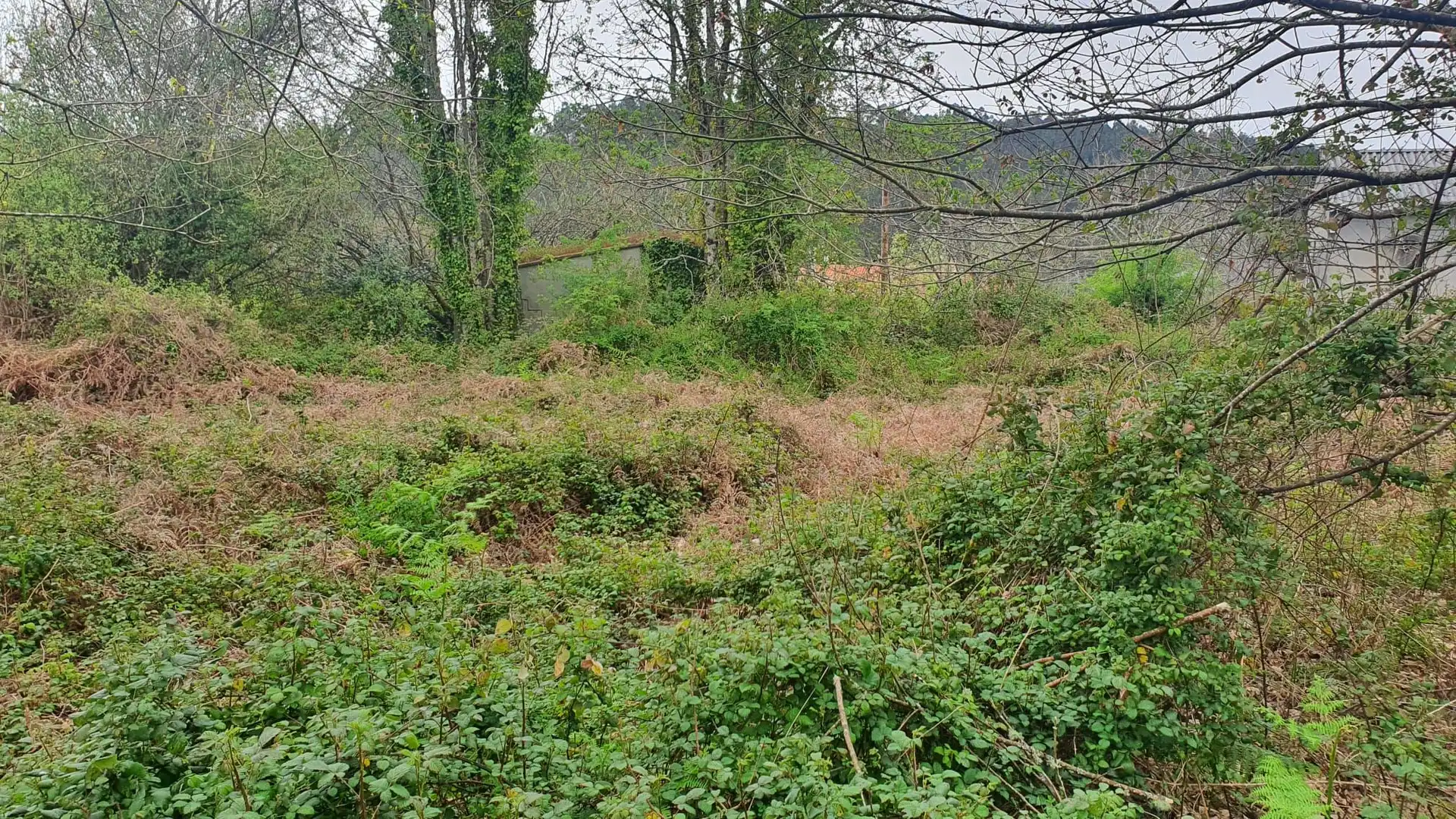 Wohnbaugrundstück zum Verkauf in Vilarmaior, imagen 15