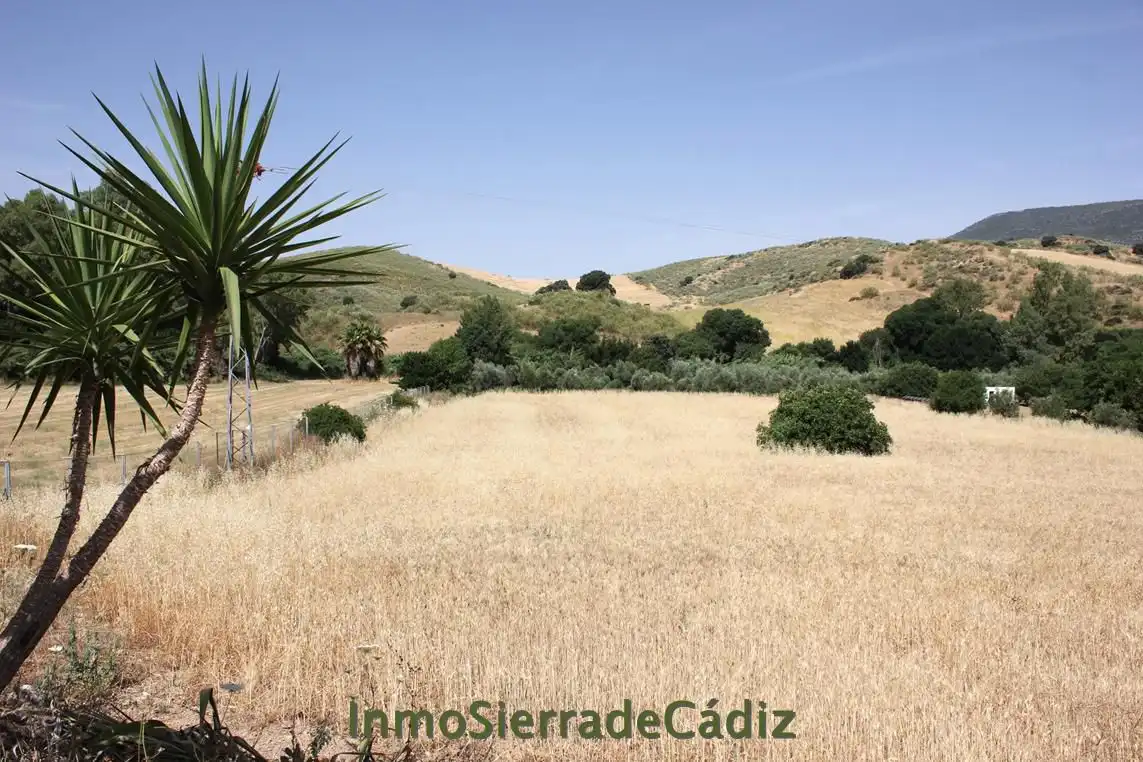 Casa rústica en venda a Algodonales, imagen 11