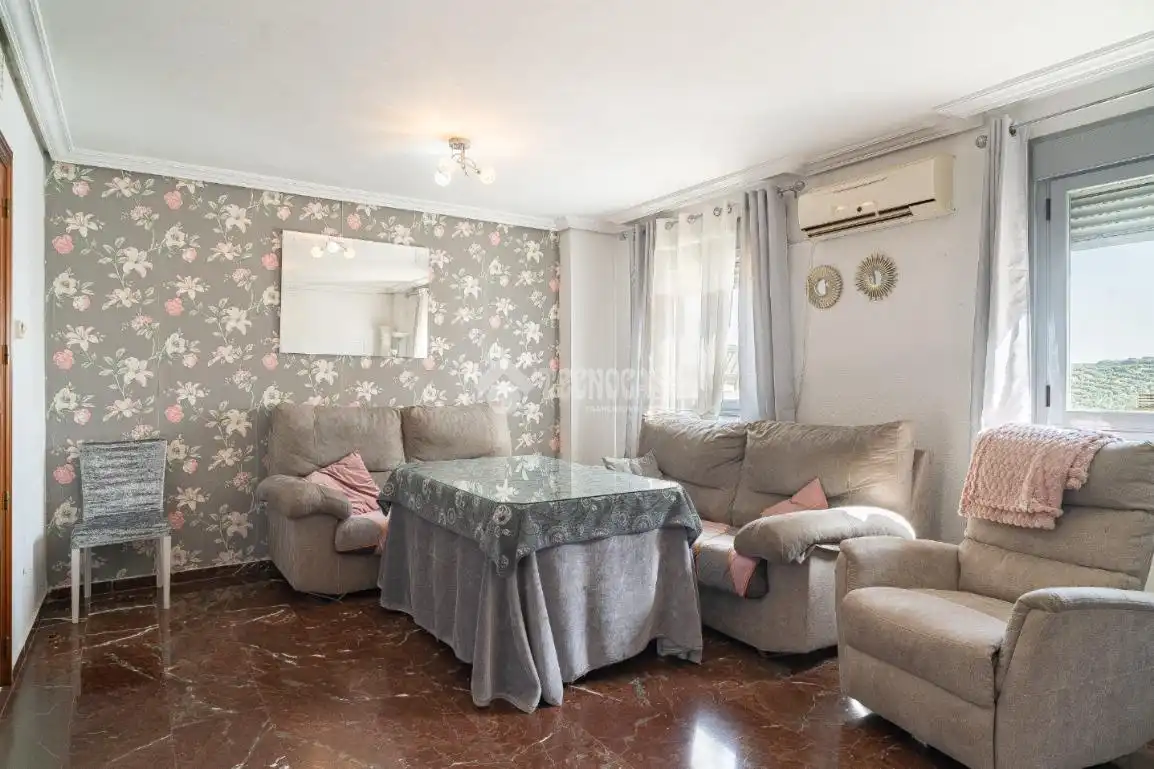 Living room of Flat for sale in Úbeda  with Air Conditioner