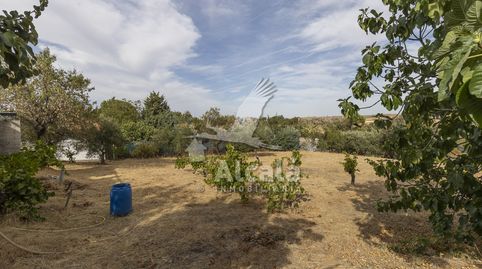 Foto 2 de Casa o xalet en venda a Camarma de Esteruelas, Madrid