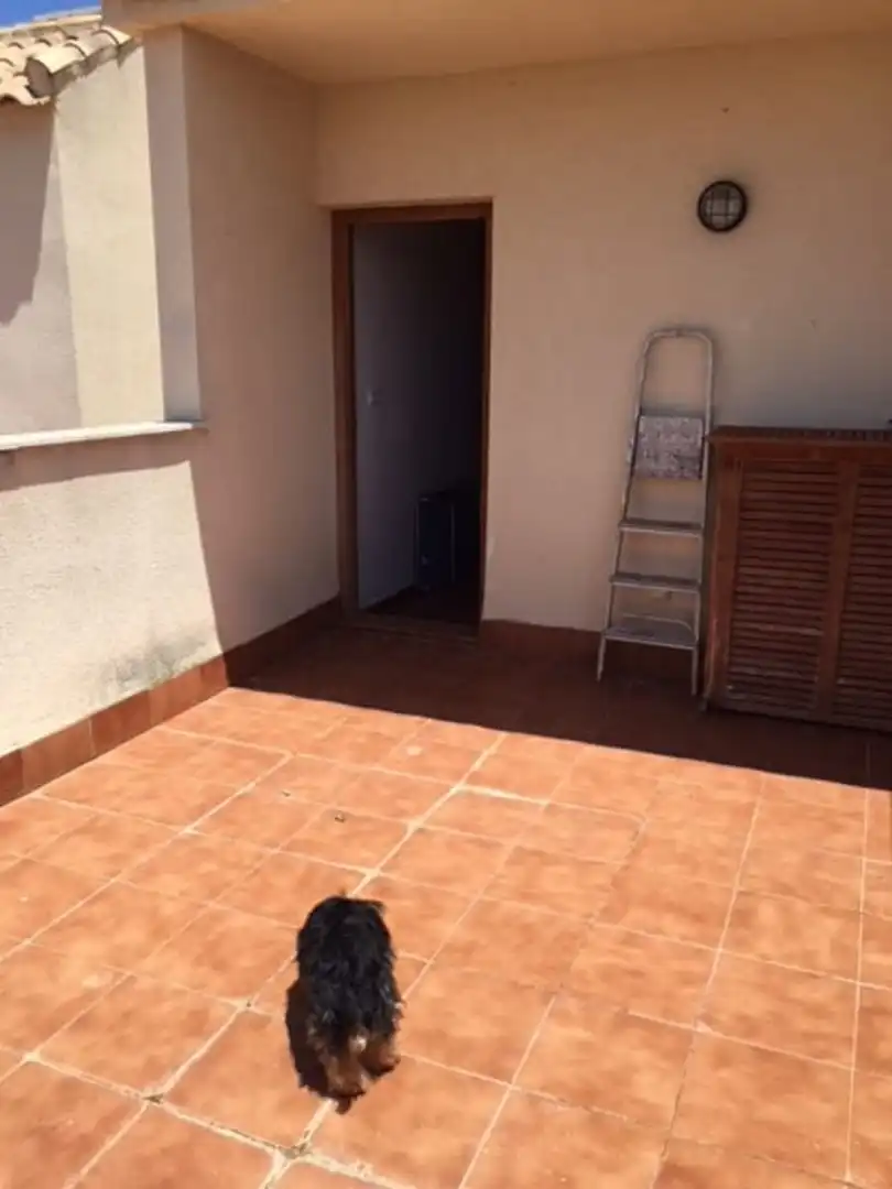 Balcony of Duplexes for sale in Bullas  with Terrace