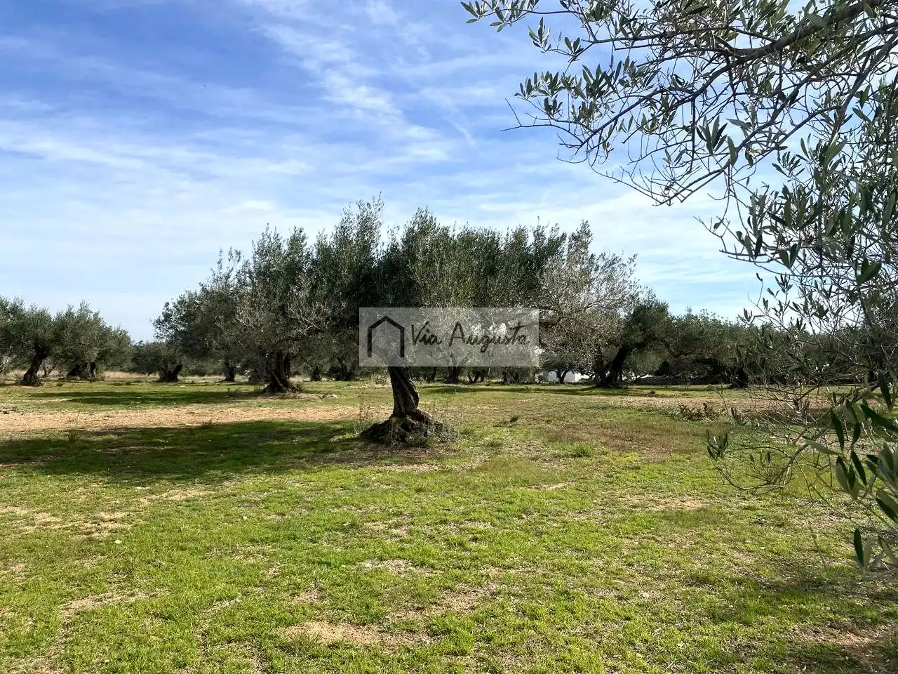 Terreno rustico in vendita a Planas, imagen 7