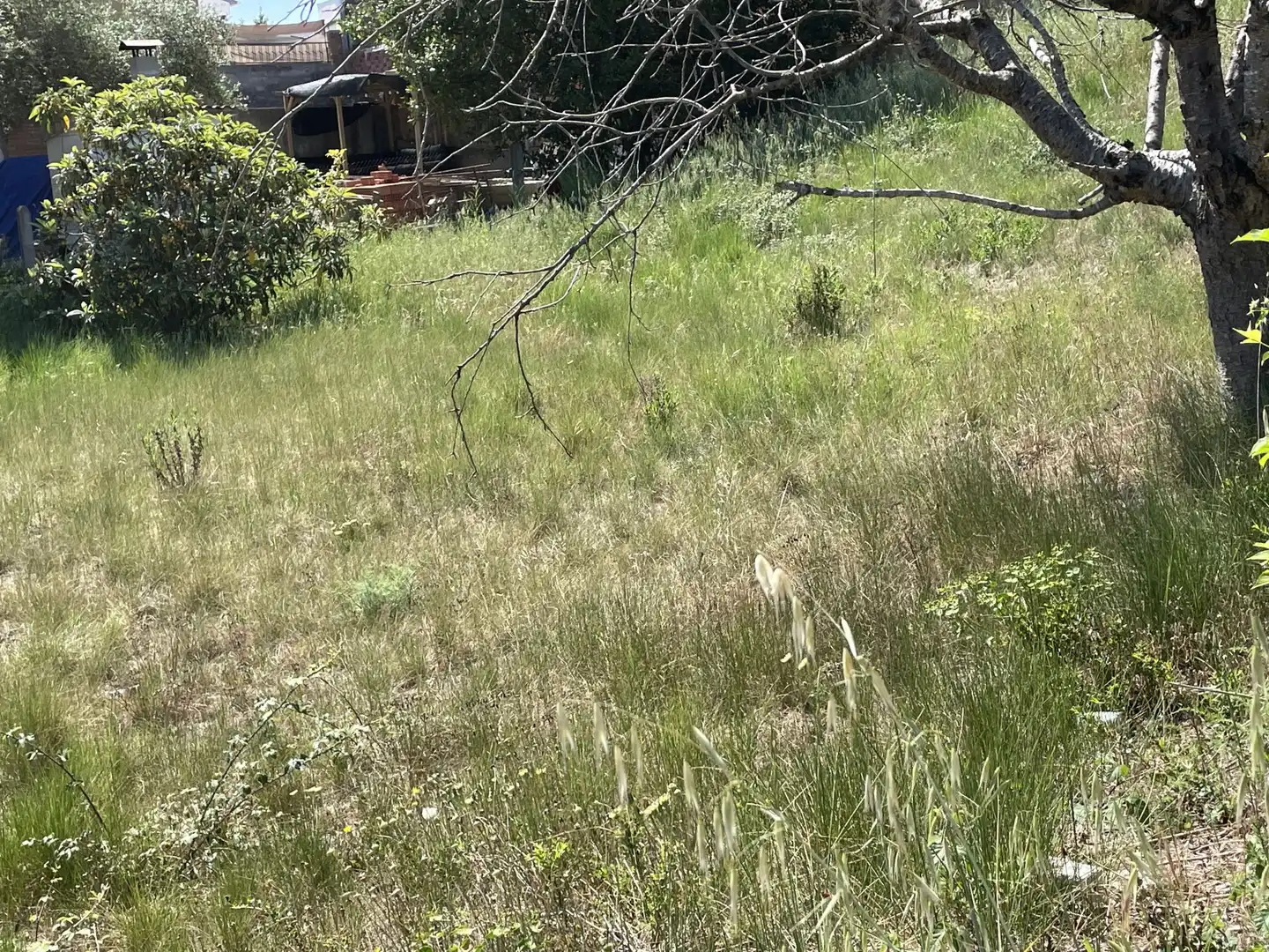 Residencial en venta en Masquefa