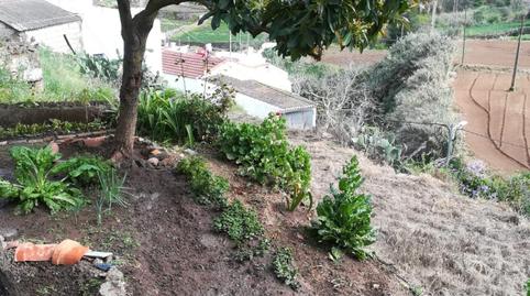 Photo 5 of Single-family semi-detached for sale in  Toscas las, El Álamo - Arbejales, Las Palmas