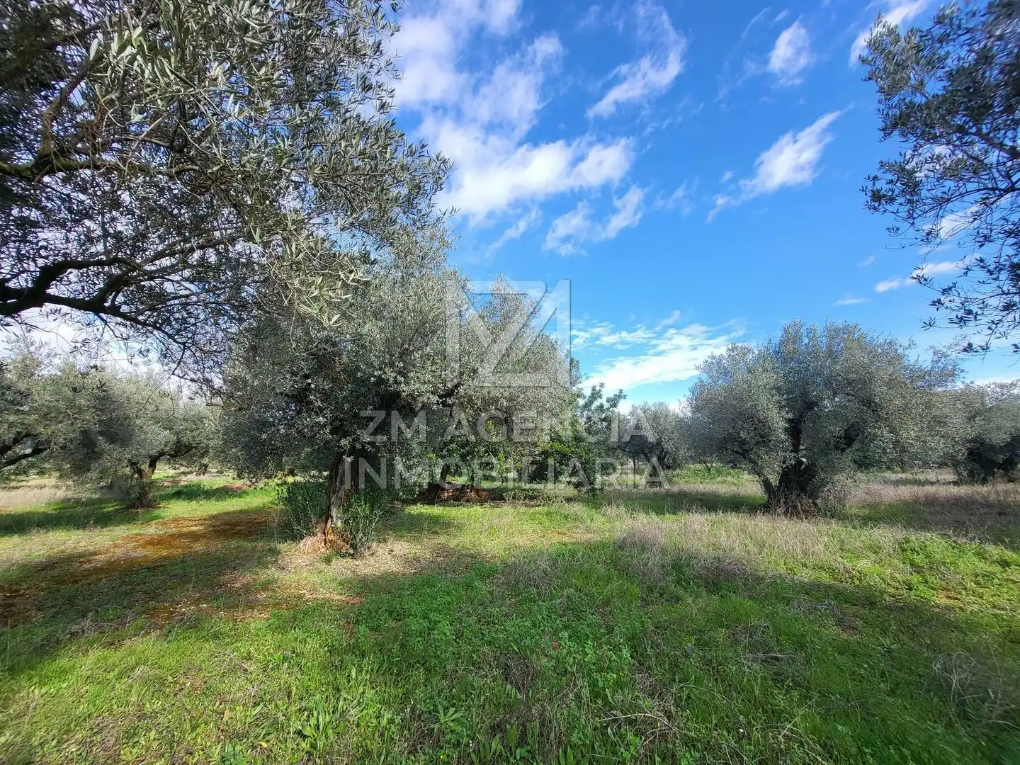 Rural land for sale in Vilarets, imagen 2