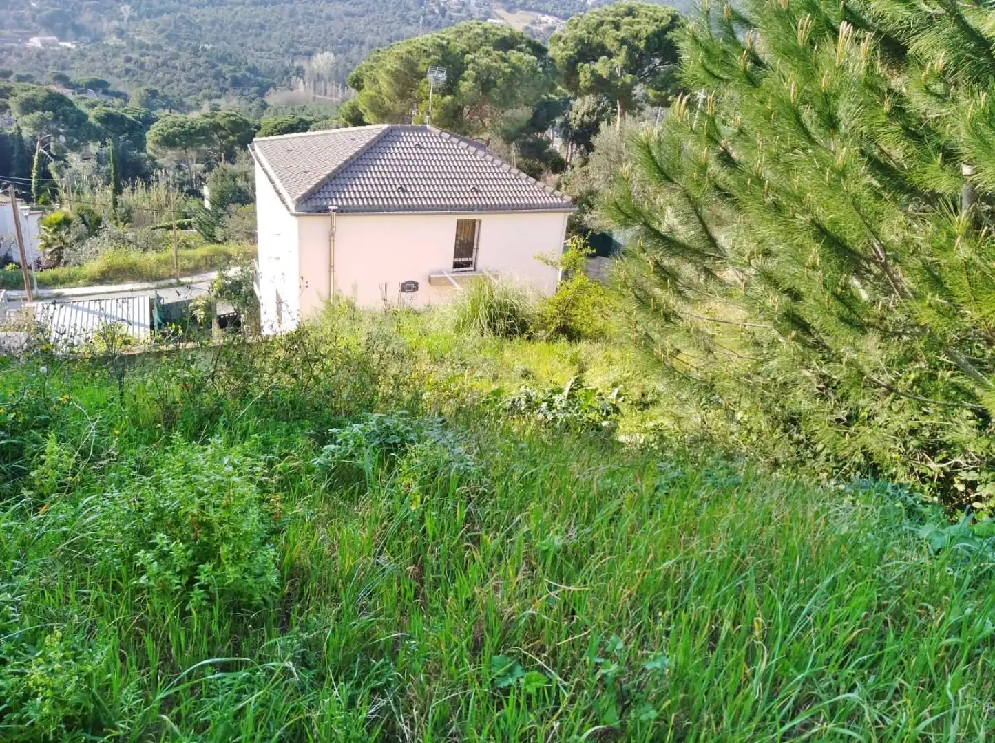 Terreno residencial en venta en Mas Mora - Sant Daniel, imagen 2