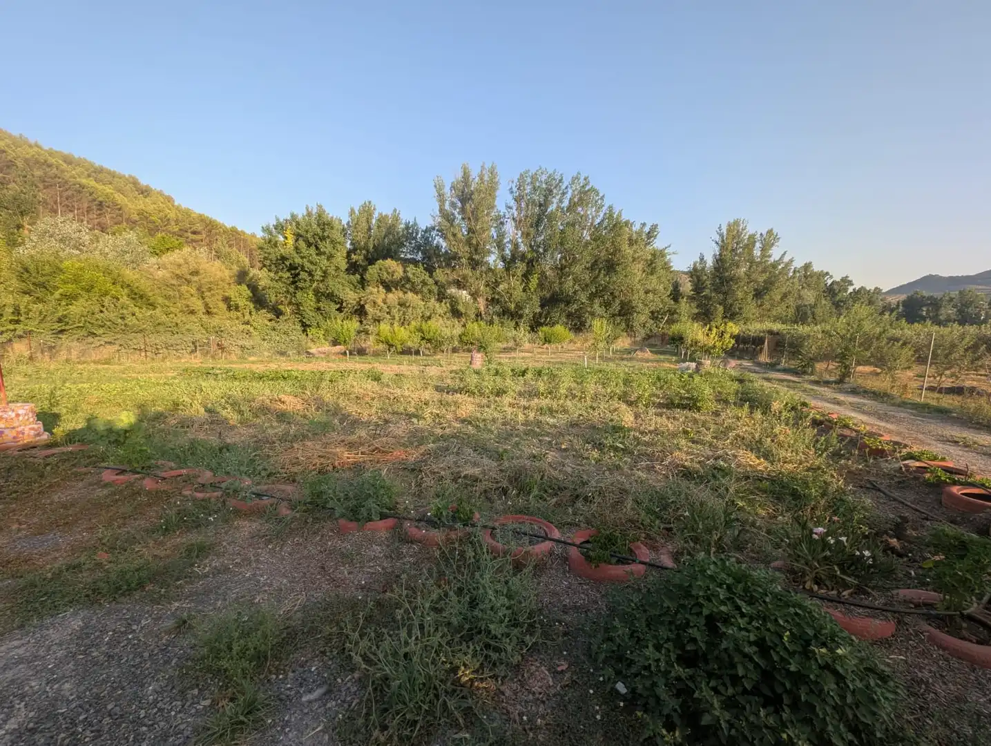 Country house zum Verkauf in Alcaudete mit Klimaanlage, Privatgarten und Schwimmbad