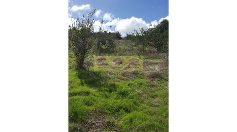 Foto 3 de Finca rústica en venta en La Esperanza - Llano del Moro, El Rosario