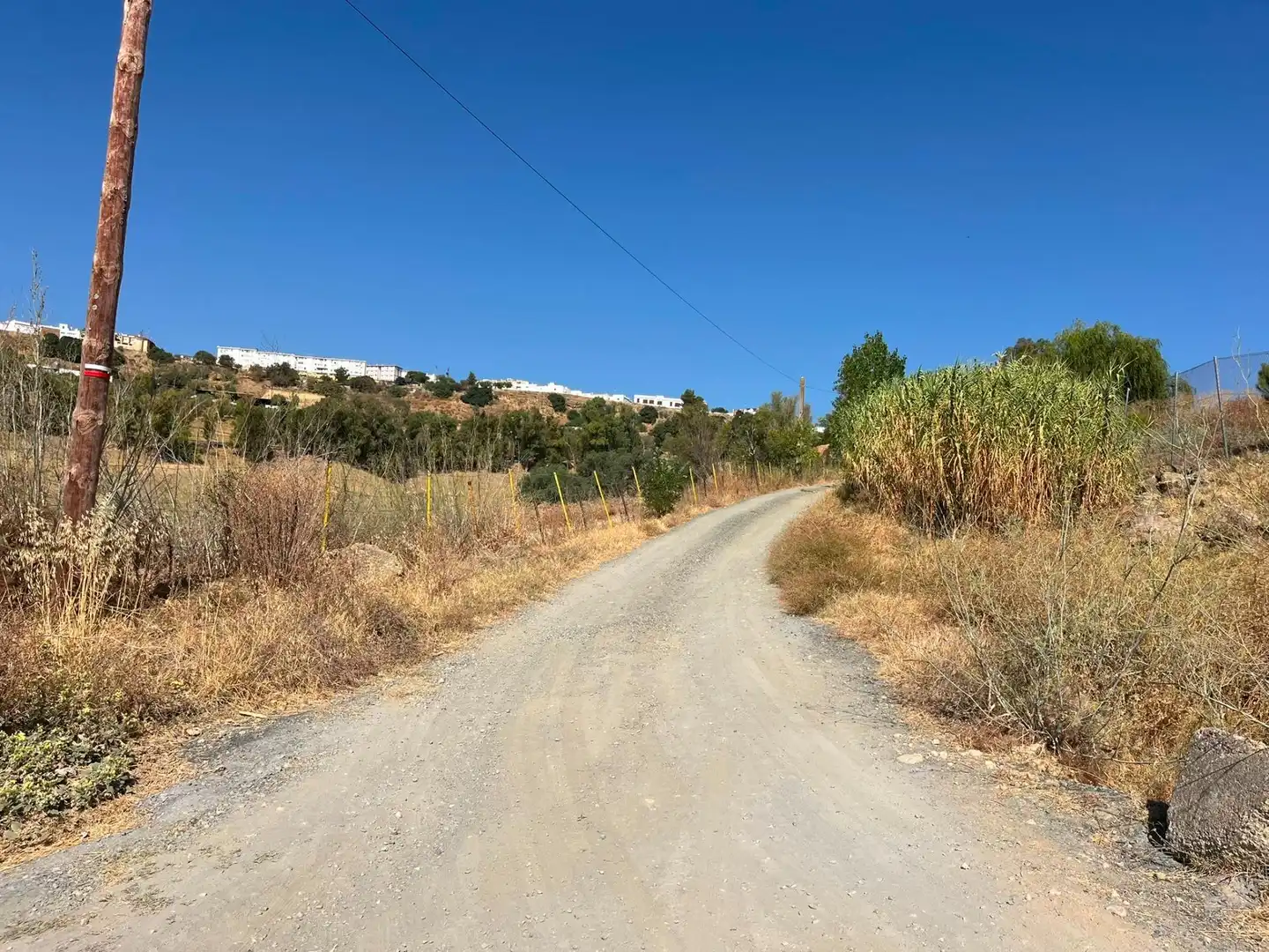 Rural land for sale in Carmona, imagen 6