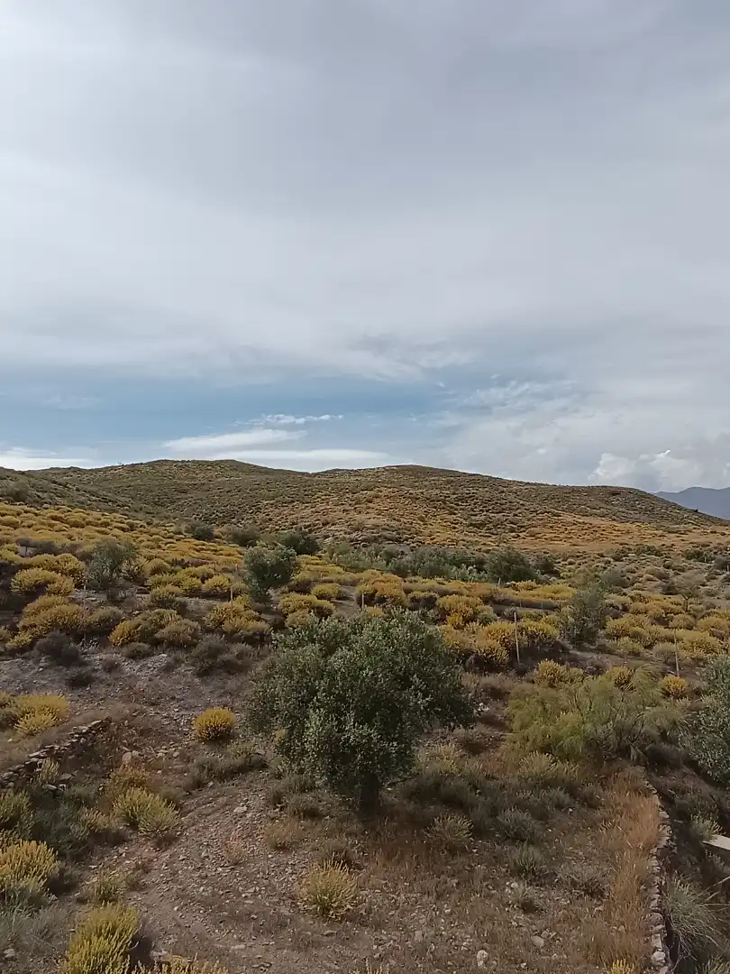 Terreno rustico in vendita a Alboloduy, imagen 25