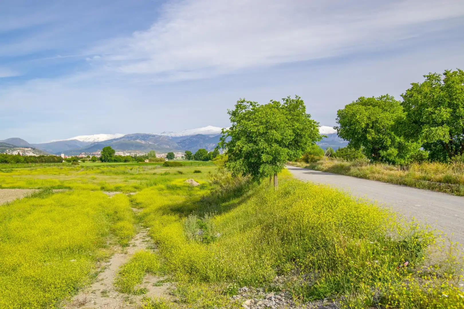 Lands and plots for sale in Polígono 9 Parcela 307 MARACHAT. GRANADA (GRANADA, imagen 19