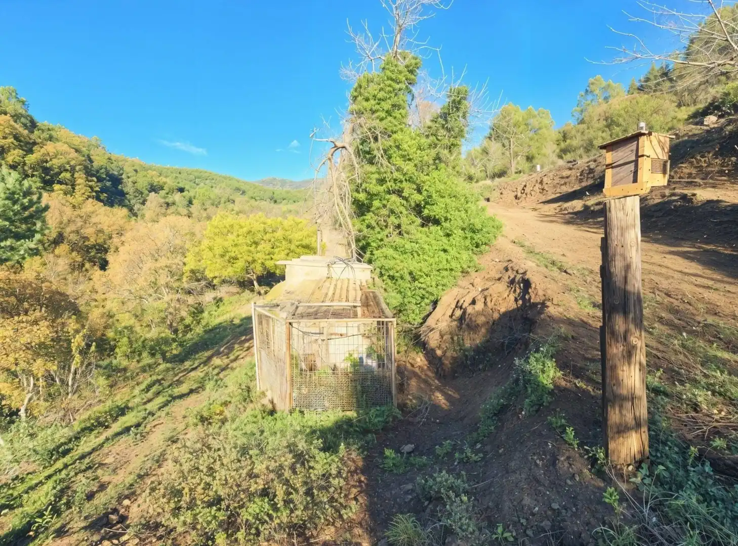 Casa o xalet en venda en La Selva del Camp amb Jardí privat, Terrassa i Traster