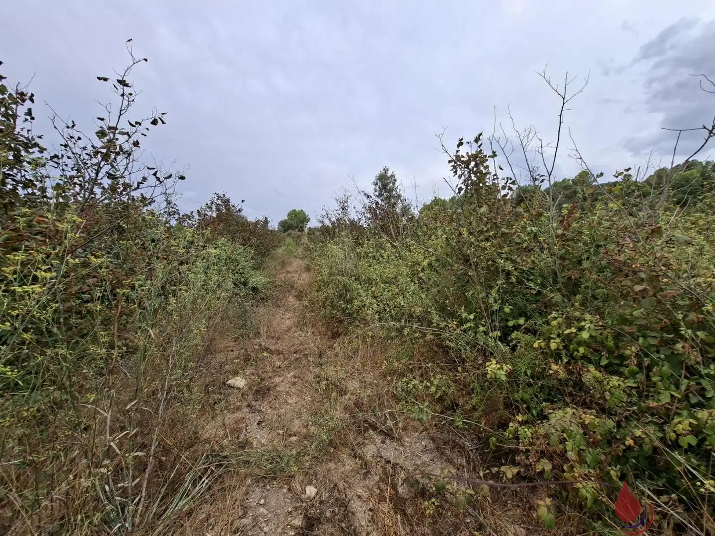 Lands and plots for sale in CARPIS, imagen 4