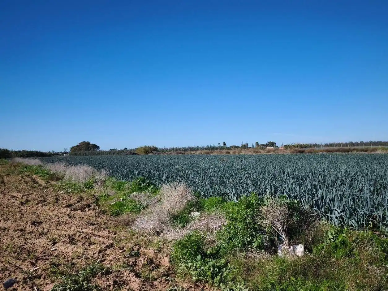 Terreno rustico in vendita a Las Tres Piedras - Costa Ballena, imagen 8