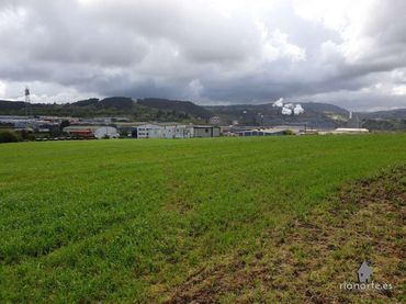 Industriegrundstück zum Verkauf in Carreño