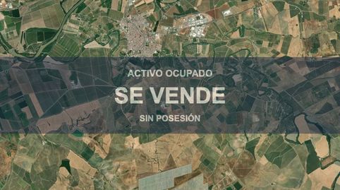 Foto 4 de Pis en venda a Palma del Río, Córdoba
