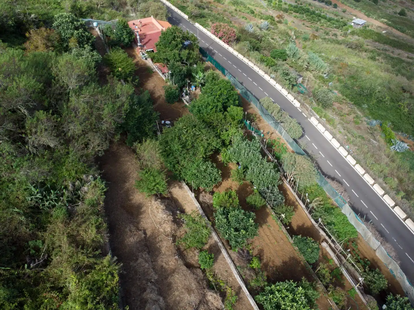 Country homes for sale in El Tanque