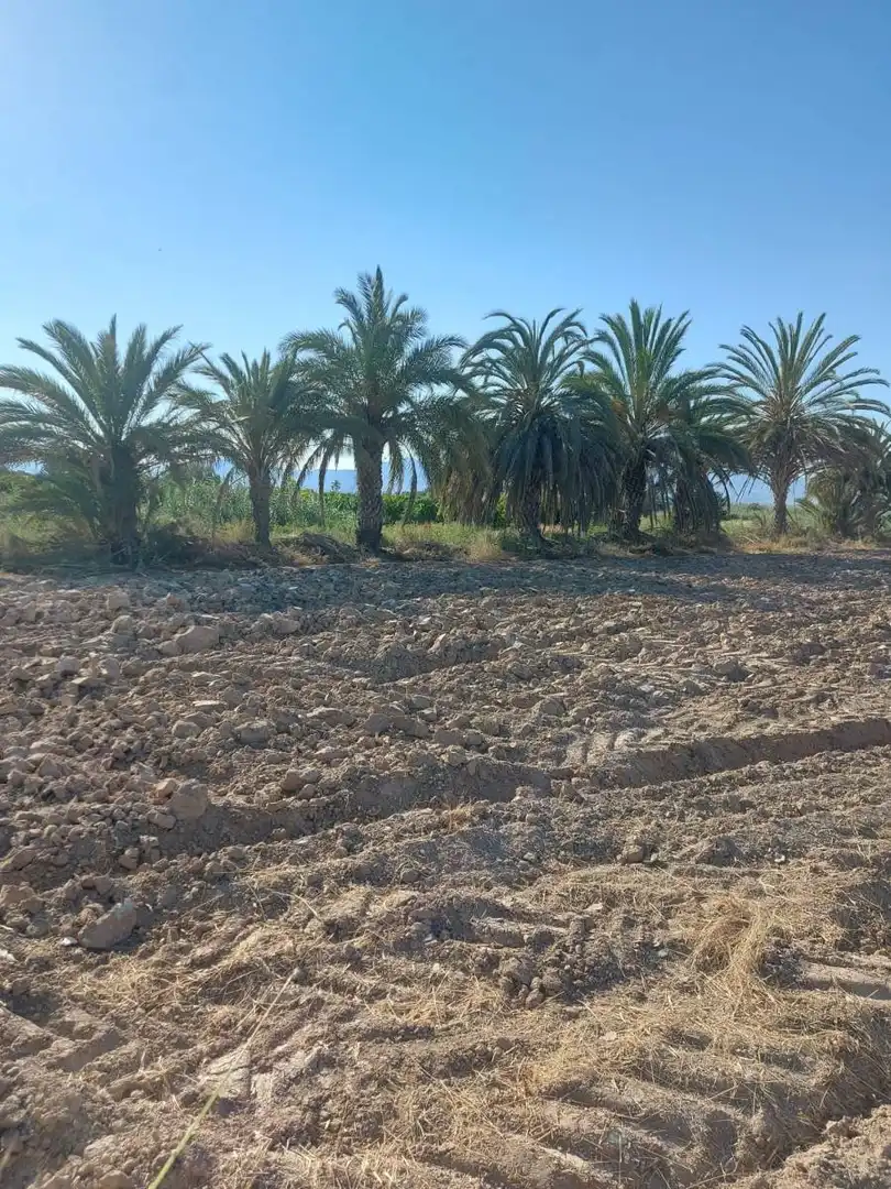 Residencial en venta en Catral