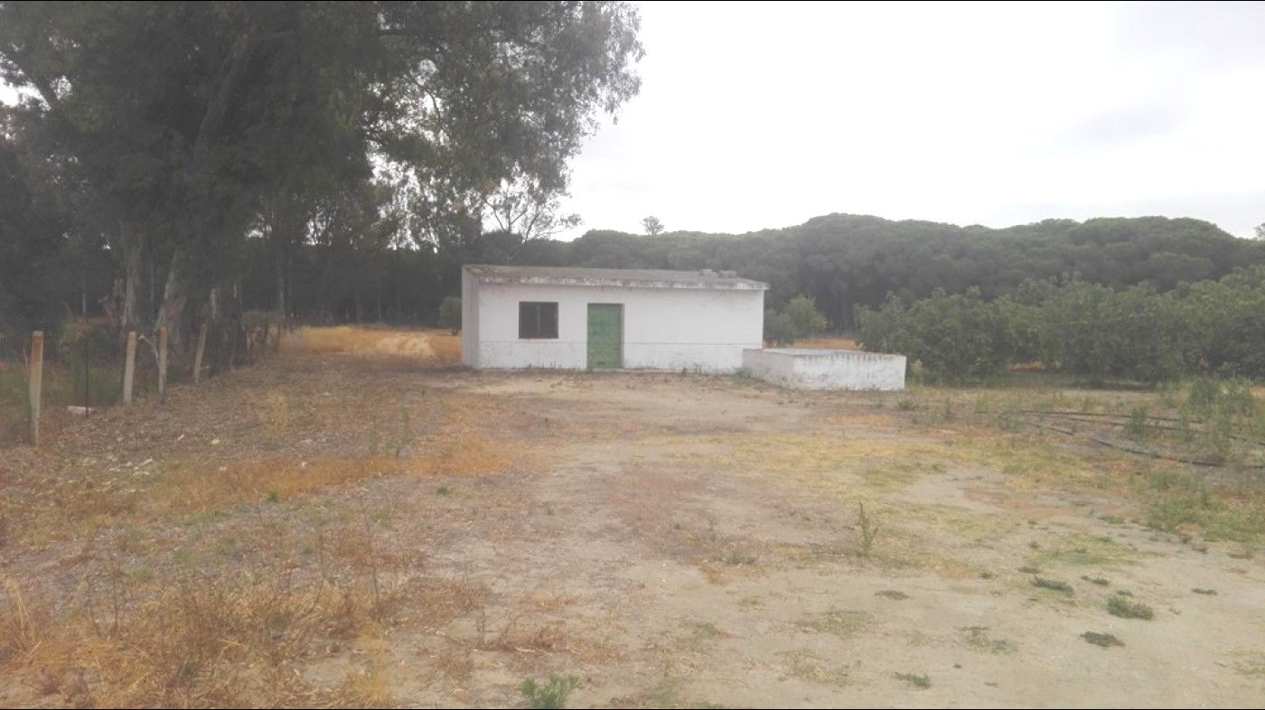 Casa o xalet en venda en Chiclana de la Frontera amb Piscina